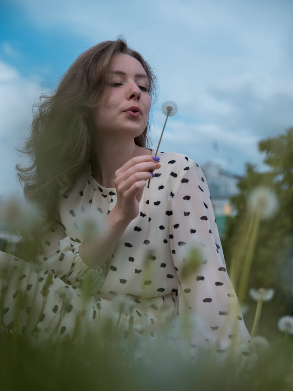 Il mio nuovo racconto, “Dandelions”
